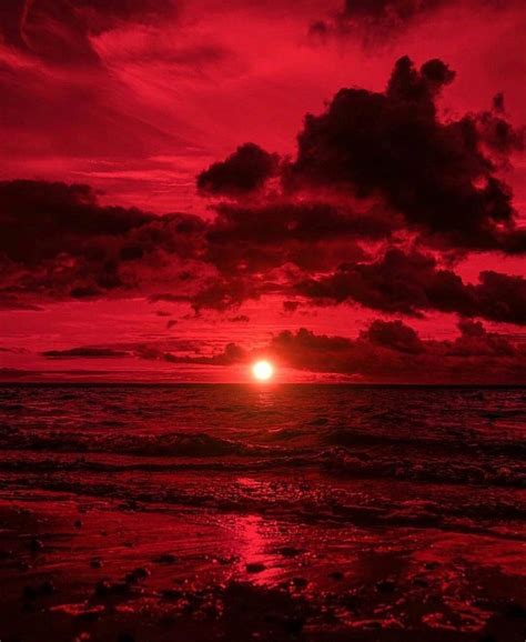 aesthetic red sunset|red themed background sunset art.